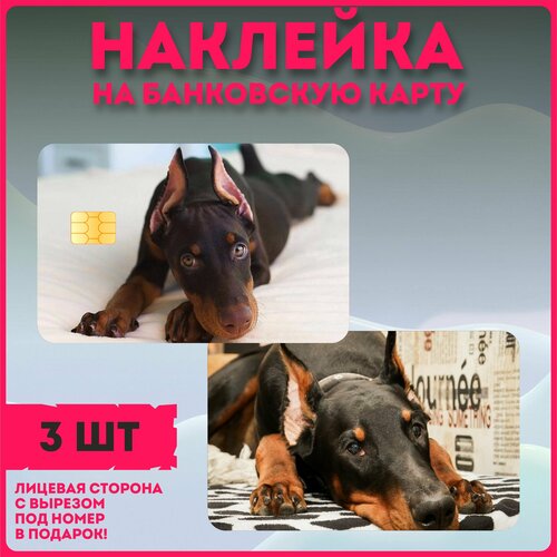 Наклейки на карту милые собачки