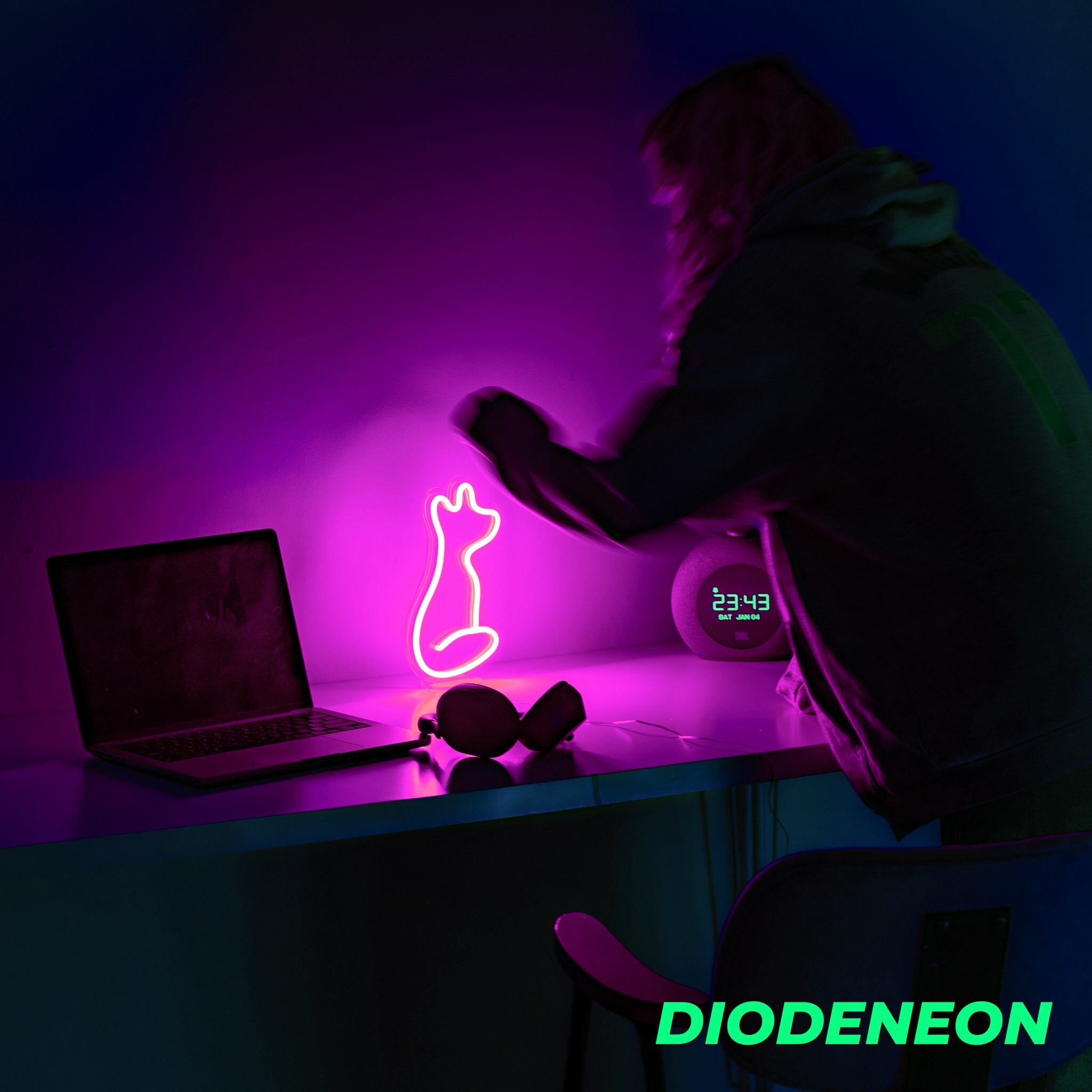 DIODENEON / Неоновый светильник, вывеска - Неоновая лиса 13х25 см. - фотография № 1