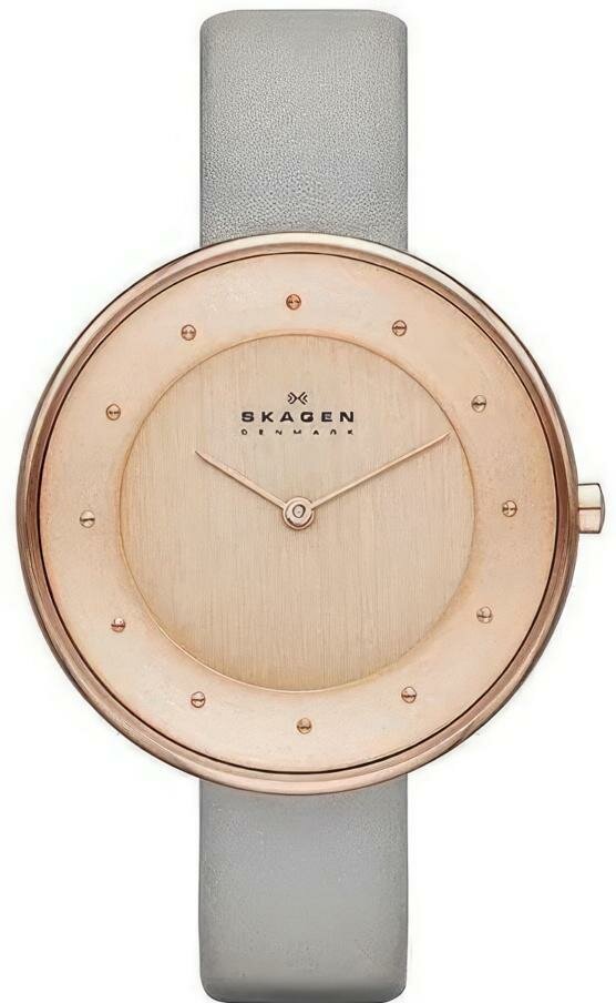 Наручные часы SKAGEN