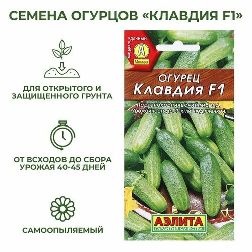Семена Огурец Клавдия F1, раннеспелый, партенокарпический, 10 шт ( 1 упаковка )