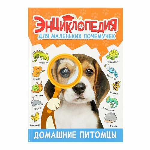 Энциклопедия для маленьких почемучек «Домашние питомцы» майснер хизер уэбер белинда домашние питомцы детская энциклопедия