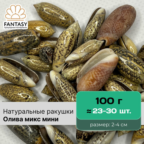 Натуральные морские ракушки FANTASY Олива микс мини, набор весом 100 г (23-30 шт.), размер: 2-4 см