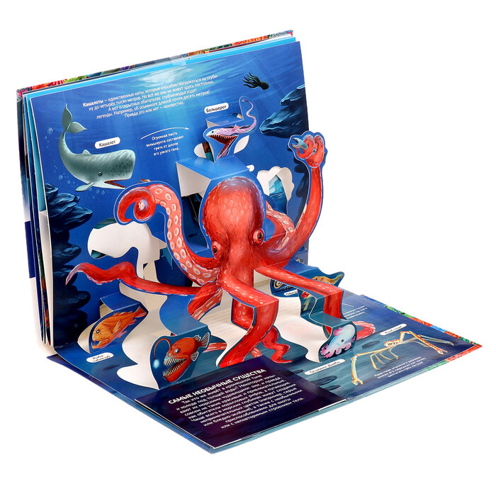 Книжка-панорамка. Энциклопедия POP UP. Живая планета. Моря и океаны 34095-9/34729-3 - фото №15