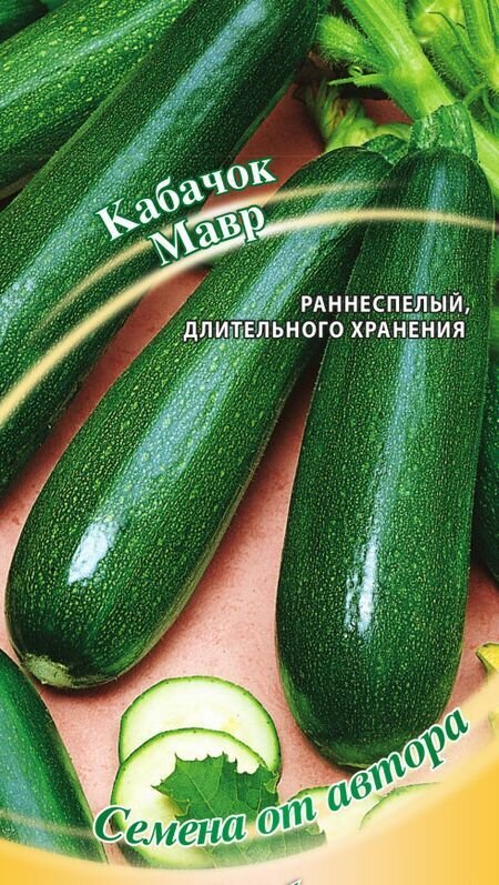 Семена Кабачок Мавр