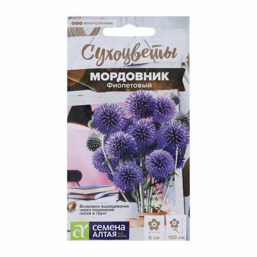 Семена Мордовник Фиолетовый обыкновенный, 0,2 гр, ( 1 упаковка )