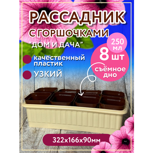 Рассадник на 8 стаканчиков (горшочков), бежевый