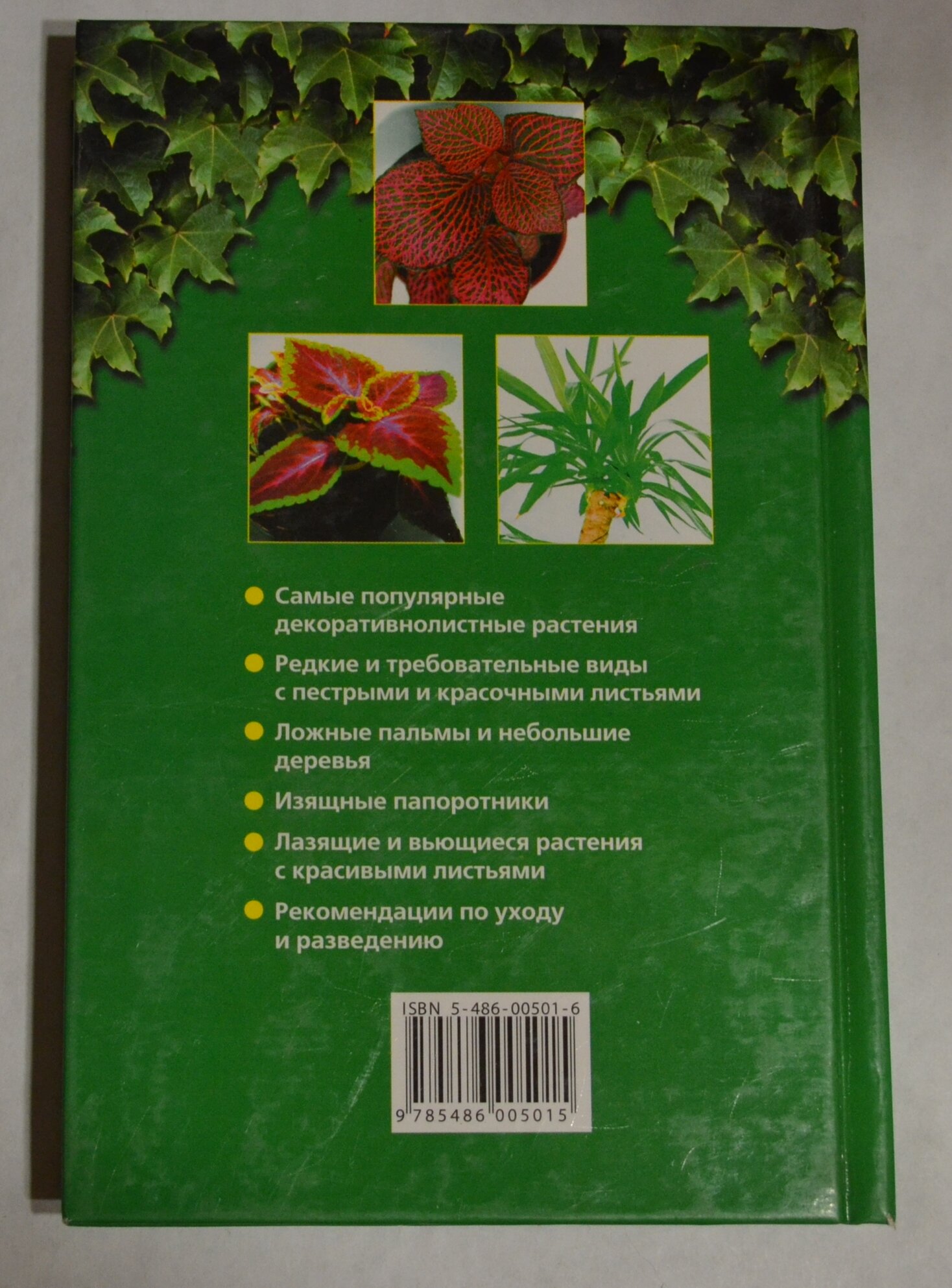 Декоративнолистные растения (Ладвинская А.А.) - фото №3