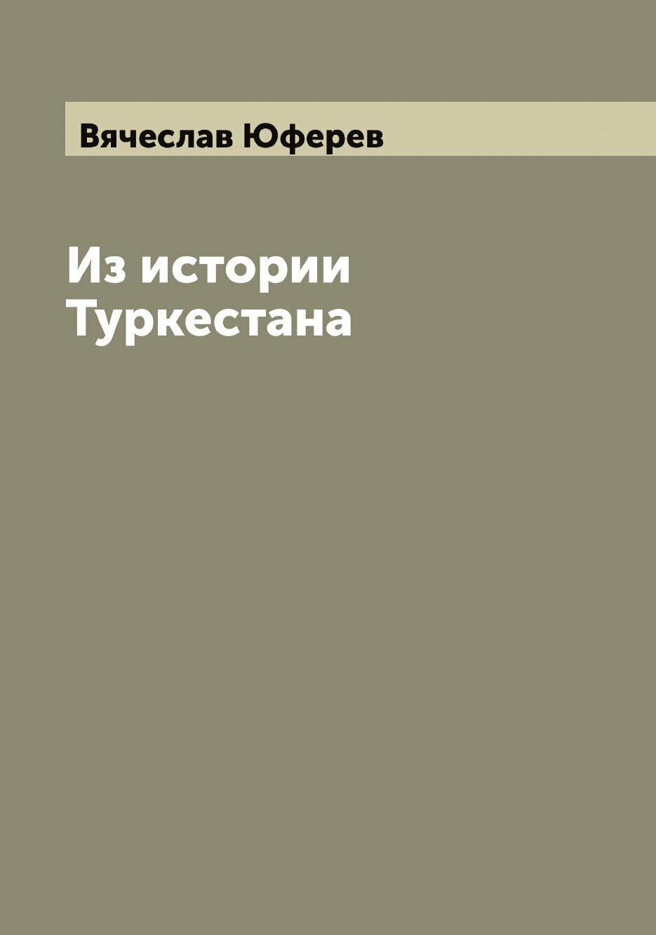 Книга Из истории Туркестана (Юферев Вячеслав Иванович) - фото №1