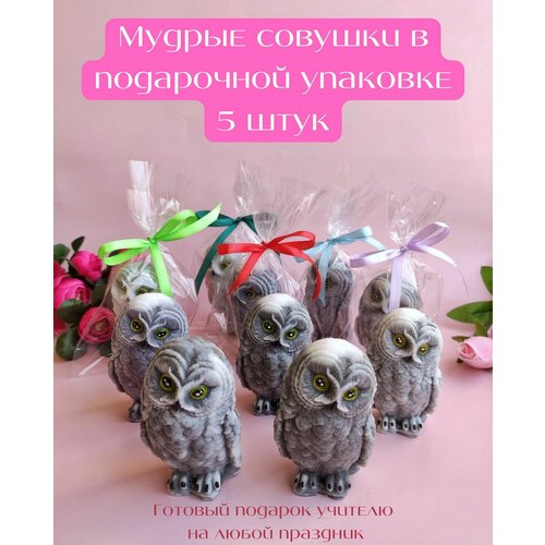 Мудрая совушка 5 штук / Сувенирное мыло Sweet Soap / подарок учителю набор мыло ручной работы на день учителя совушка с хризантемой