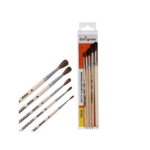 Набор кистей Пони 5 штук Calligrata 3 414₽