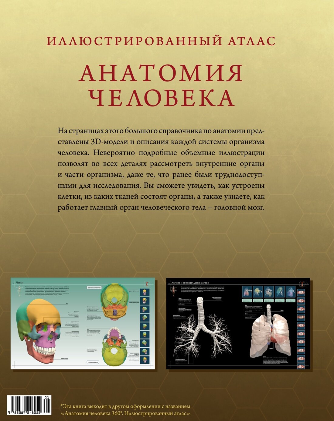 Иллюстрированный атлас. Анатомия человека - фото №2