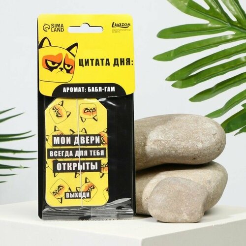 Ароматизатор в авто Цитата дня аромат баббл-гам 454₽