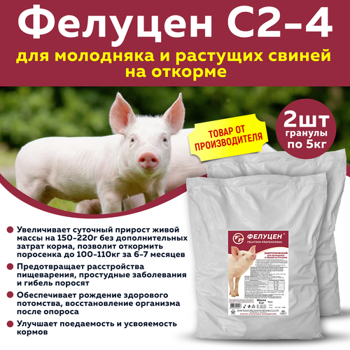 Комплект Фелуцен С2-4 для молодняка и растущих свиней на откорме (литера 4226) 5кг, 2 шт