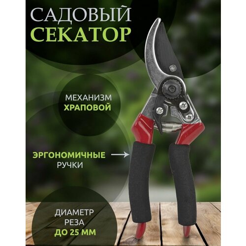 разноцветный