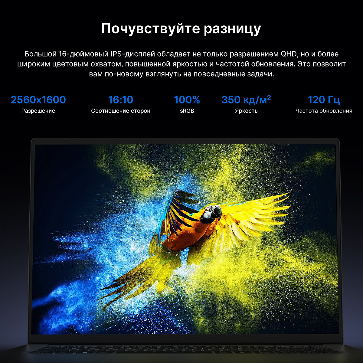 16.0" Ноутбук Maibenben P625 intel i5-12450H 2560*1600 QHD 120Hz sRGB 100% IPS RAM 16ГБ DDR4+SSD 512ГБ Intel UHD Graphics Linux — фото 1