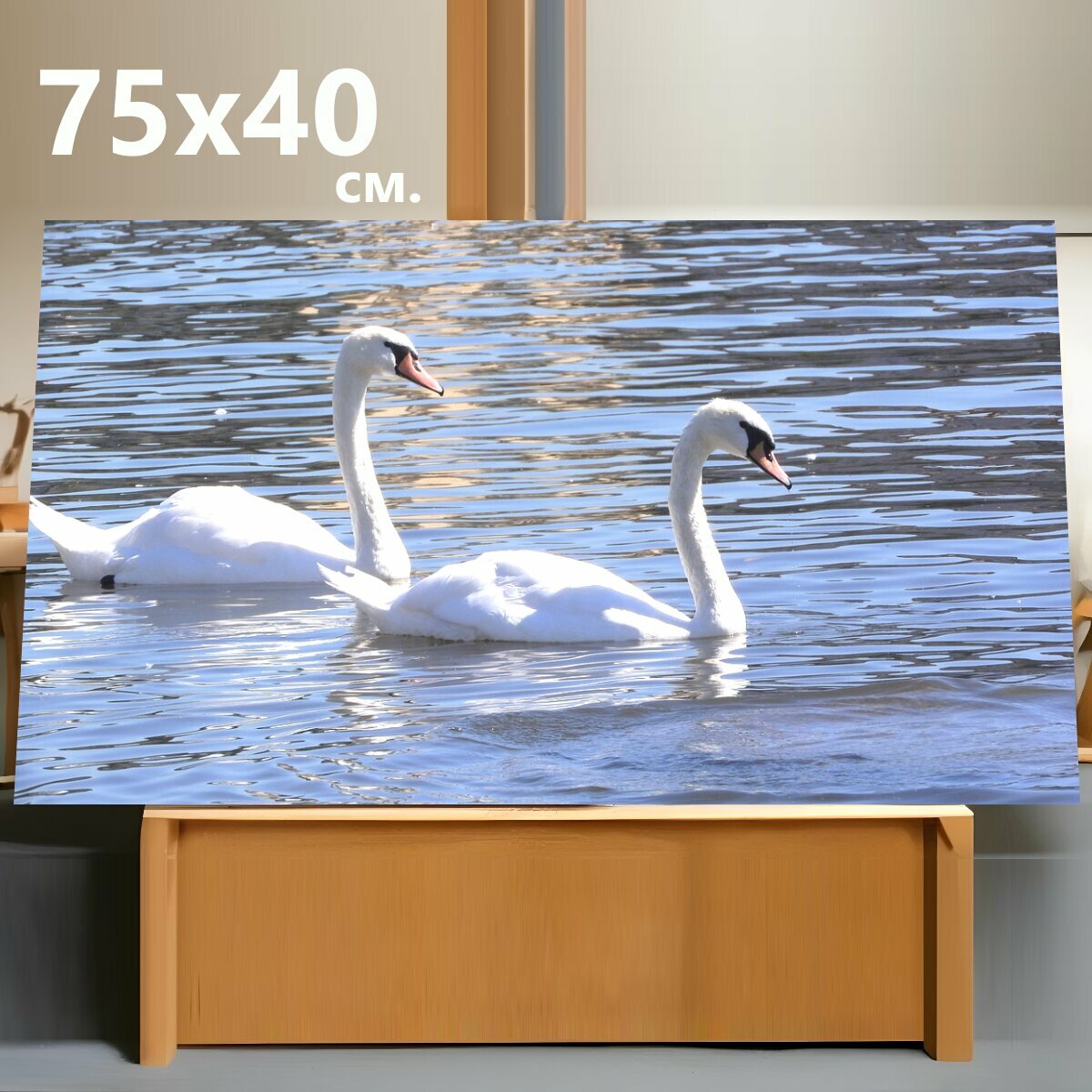 Картина на холсте "Лебеди, птицы, пруд" на подрамнике 75х40 см. для интерьера