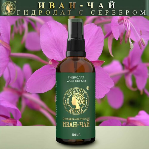 Гидролат с серебром Иван-Чай ORGANIC RUSSIA для зрелой, комбинированной, проблемной кожи, премиум, 100 мл