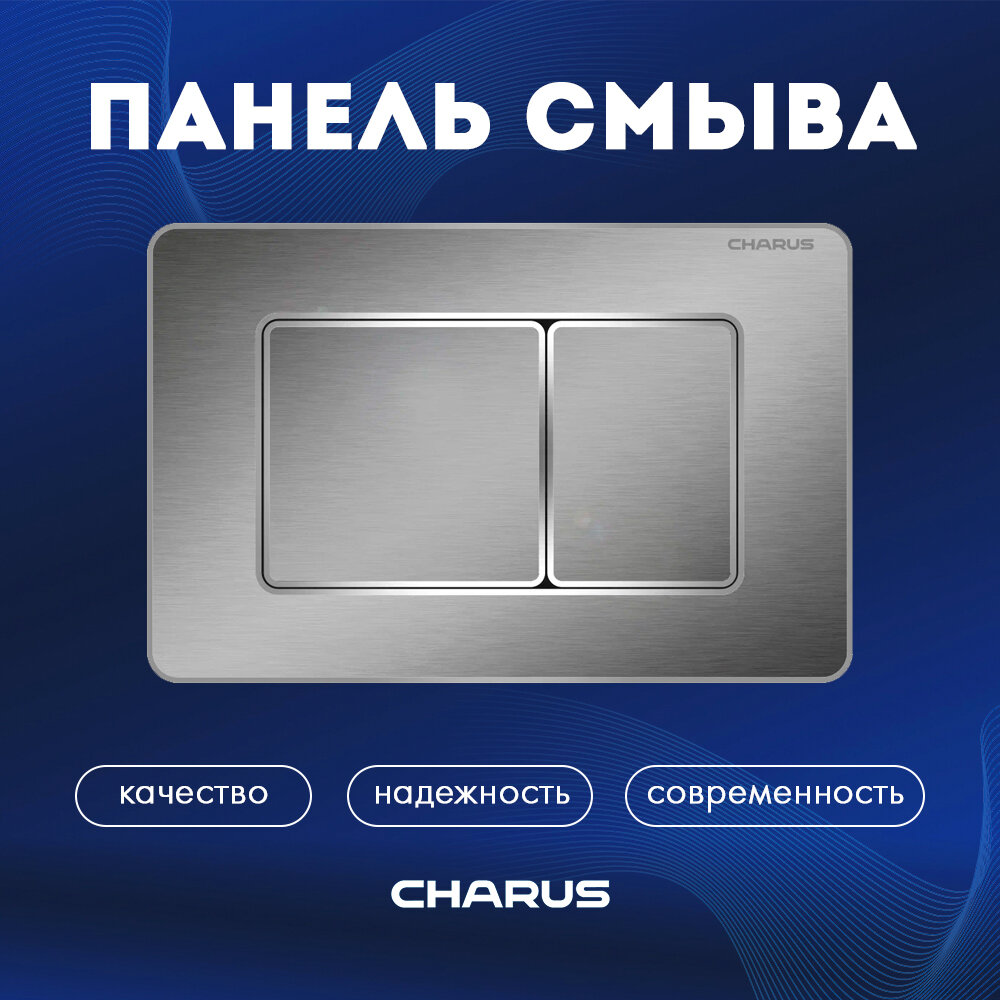 фото Смывная клавиша CHARUS Robusto FP.310. BSS.05, антивандальная, двойной смыв, матовая сталь