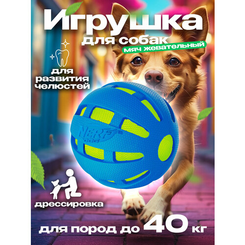 Игрушка для собак / Мяч для дрессировки Д9,6 см Nerf Dog