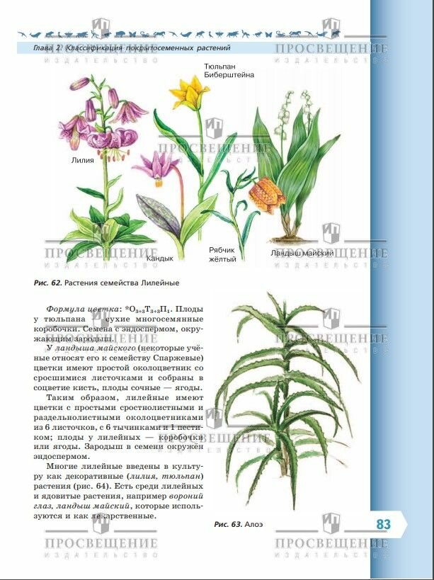 Учебник "Биология. 7 класс", ФГОС, Просвещение, мягкий переплет, 176 стр — фото 1