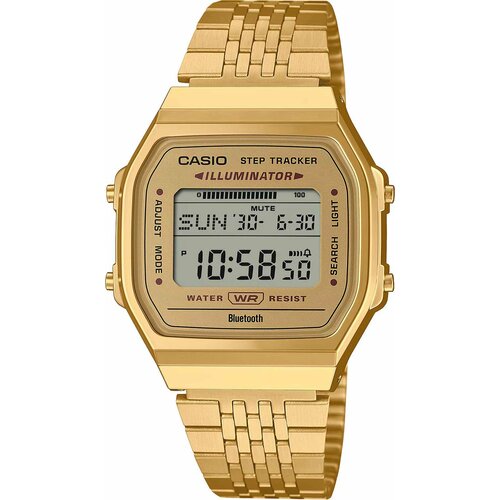 Casio 4300119331