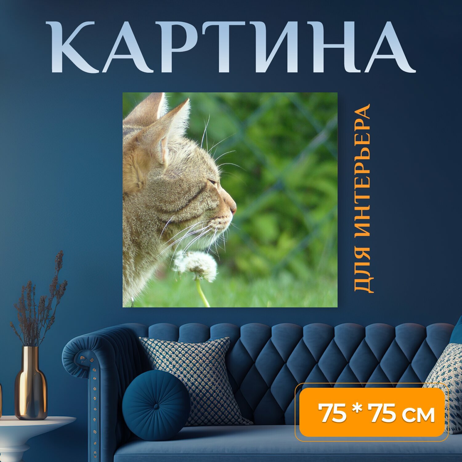 Картина на холсте "Кот, животное, тигровый кот" на подрамнике 75х75 см. для интерьера