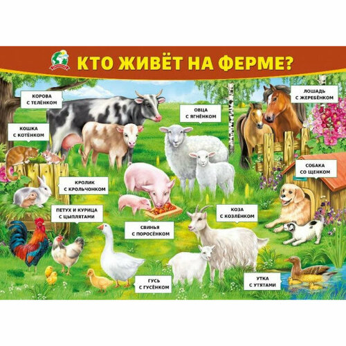 Плакат Кто живет на ферме изд Горчаков 460326294100370965 322₽