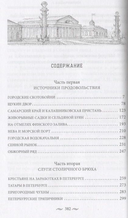 Брюхо Петербурга Очерки столичной жизни - фото №3