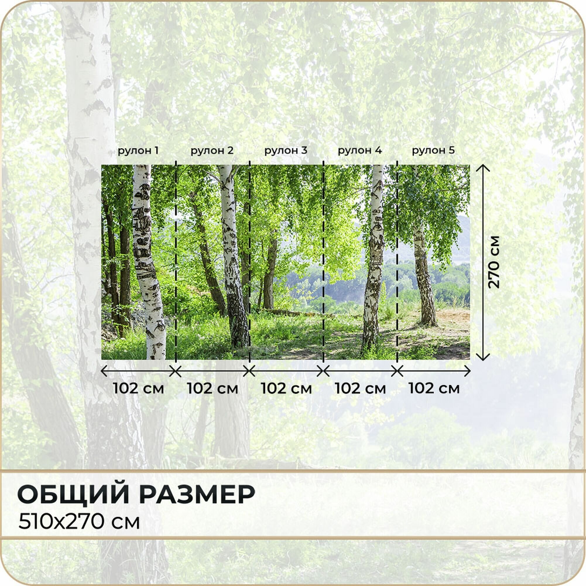 Фотообои 3D Березы для зала в детскую в спальню в гостиную на кухню 500х270 — фото 1