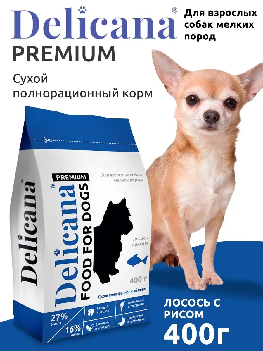 DELICANA Корм сухой для взрослых собак мелких пород с лососем и рисом 400 г