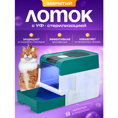 Лоток для кошек большой, закрытый кошачий туалет, домик
