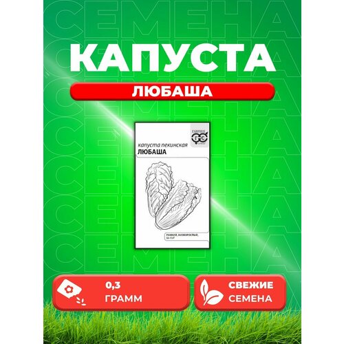 Капуста пекинская Любаша 0,3 г б/п с евроотв. семена 20 упаковок капуста пекинская любаша 0 3г ранн гавриш б п 20 800