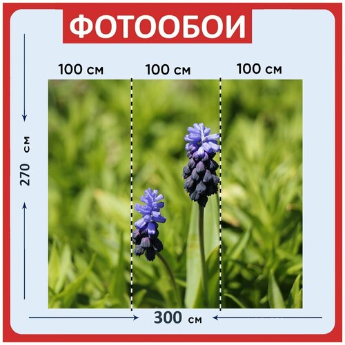 Фотообои Фиолетовый весна блум 300x270 см флизелиновыена стену 3940₽