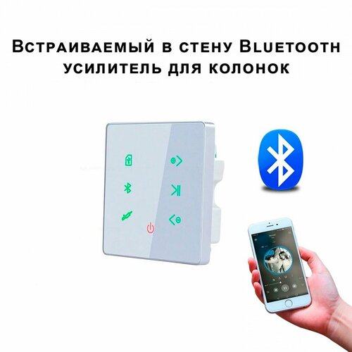 Встраиваемый усилитель для фоновой музыки в комнату в ванну в офис 516000₽