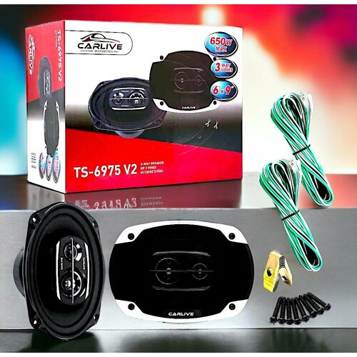 Автомобильные Динамики Carlive TS-6975V2 6X9 Овальные 4800₽
