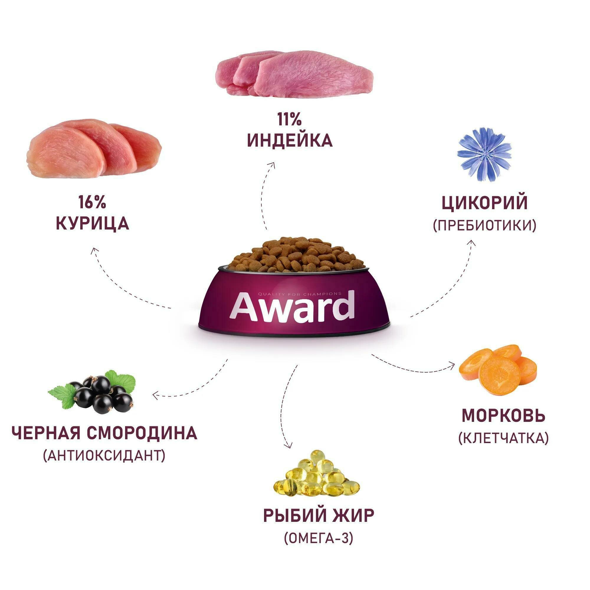 AWARD сухой корм для взрослых собак средних пород, с индейкой, курицей, морковью и черной смородиной - 2 кг — фото 1