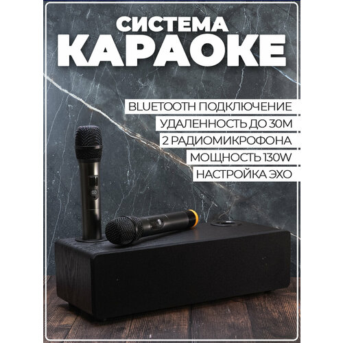 Караоке система с двумя беспроводными микрофонами черный 12990₽