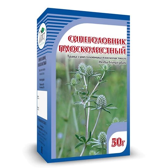 Изображение Синеголовник плосколистный, (чертополох), мочегонное, 50г, Хорст