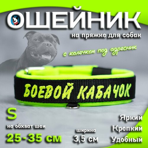 Ошейник для собак Buddy team на пряжке, с вышивкой боевой кабачок, ширина 3,5 см, с мягким подкладом для средних и крупных пород, размер S