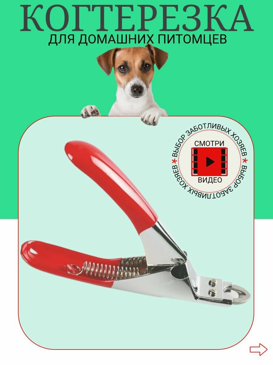 Ножницы когтерезка для стрижки когтей собак, кошек, кроликов