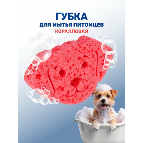 Губка для мытья животных / ZOORIK / Зурик / "собака" коралловая 1 шт