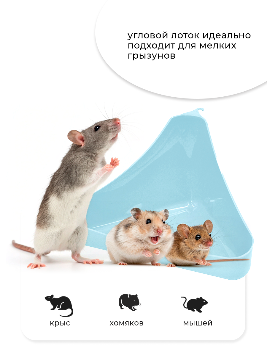 Zooexpress туалет лоток для грызунов угловой в клетку 16х9х8,5 см (светло-голубой) — фото 1