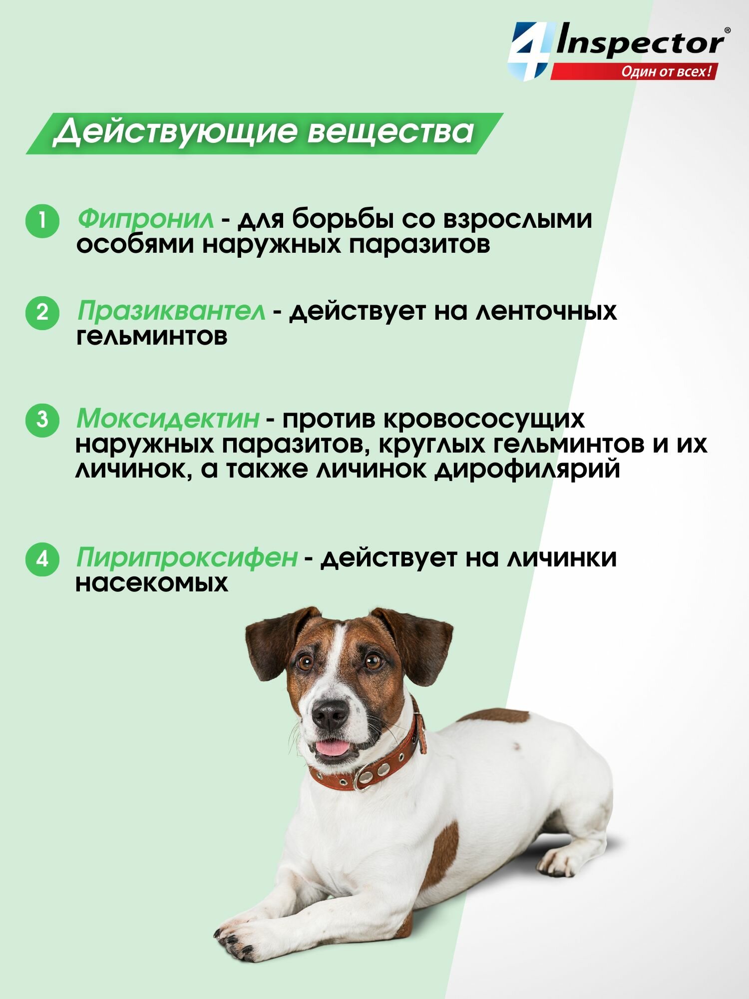 Инспектор Квадро С Капли для собак 4-10 кг. от клещей, блох, гельминтов (1 пипетка) — фото 1