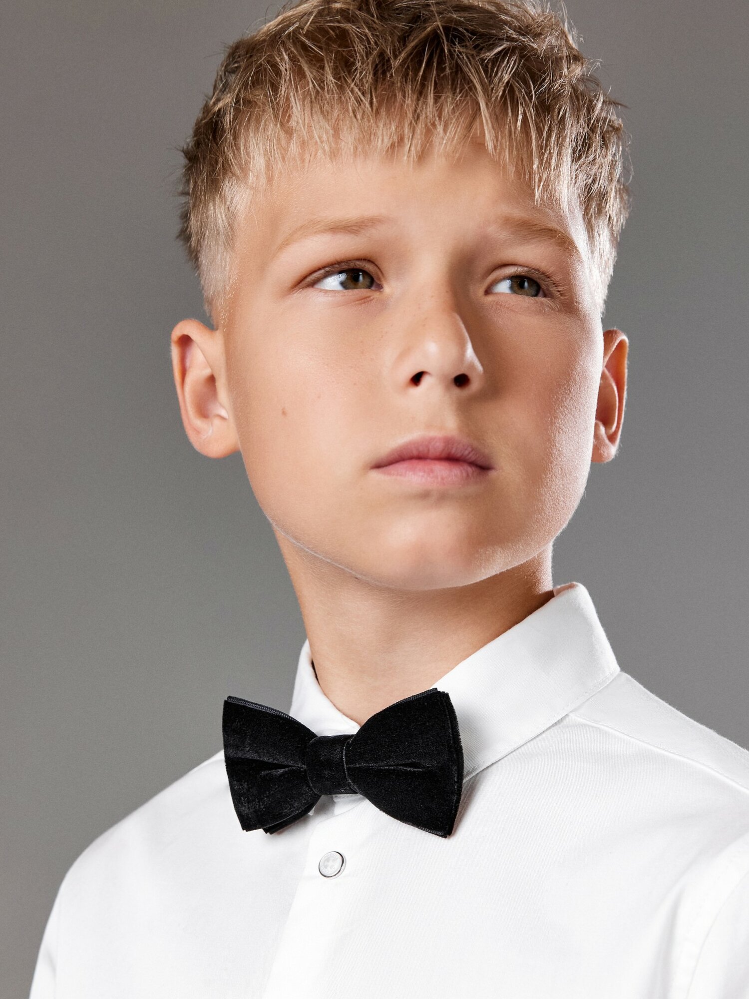 Бабочка Acoola черный