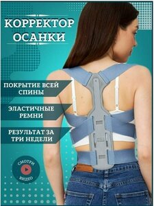 Основная фотография от вендора