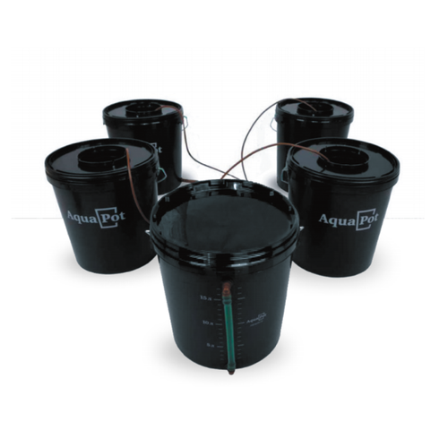 AquaPot Quatro (без компрессора), гидропонная установка для проращивания семян и выращивания рассады