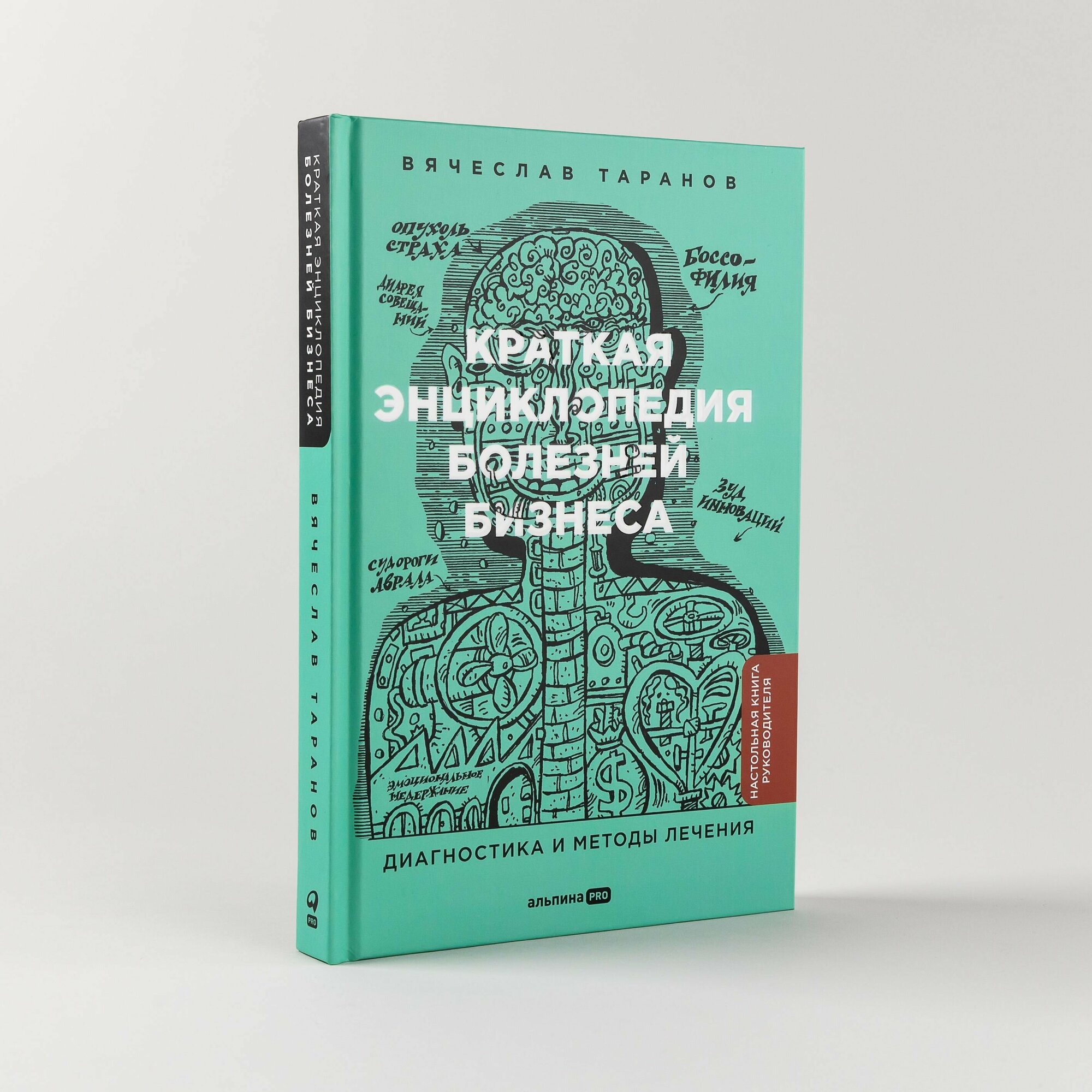 Краткая энциклопедия болезней бизнеса : Диагностика и методы лечения