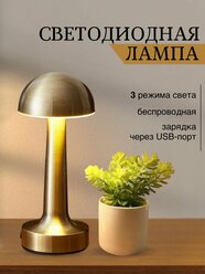 Лампа настольная светодиодная беспроводная светильник usb