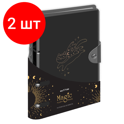 Комплект 2 шт, Тетрадь на кольцах 120л, А5, клетка MESHU Black cat, с пластиковой обложкой