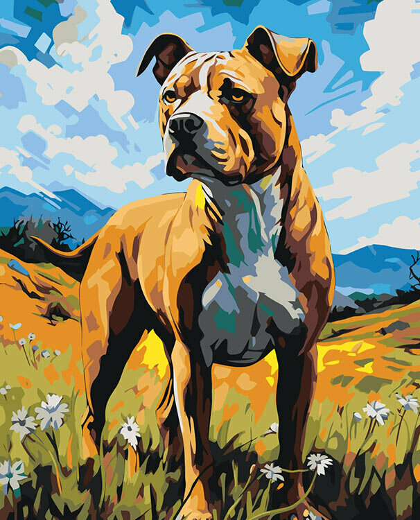 Картина по номерам на холсте Собака Стаффорд 4 40x50